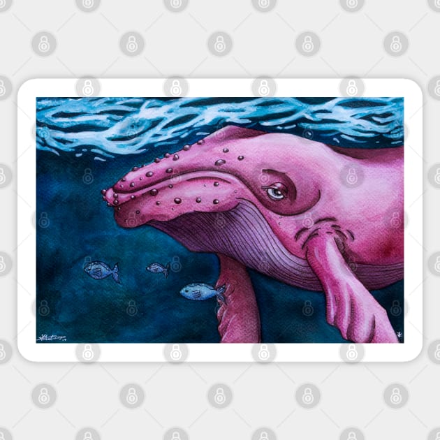 Pink Whale Sticker by FontaineN